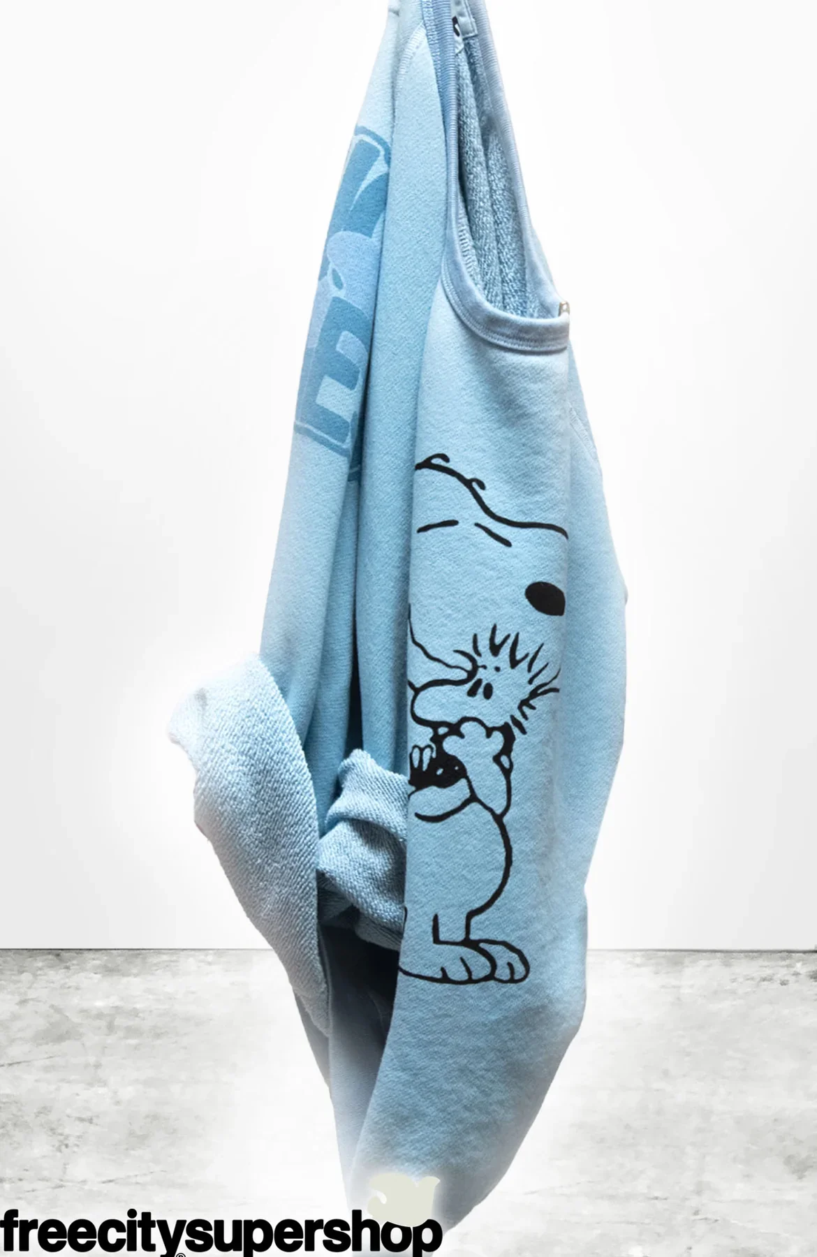 BASICGOODNESS SCHULZ SUPERVINTAGE YUMM RAGLAN- SNOOPY BLUE