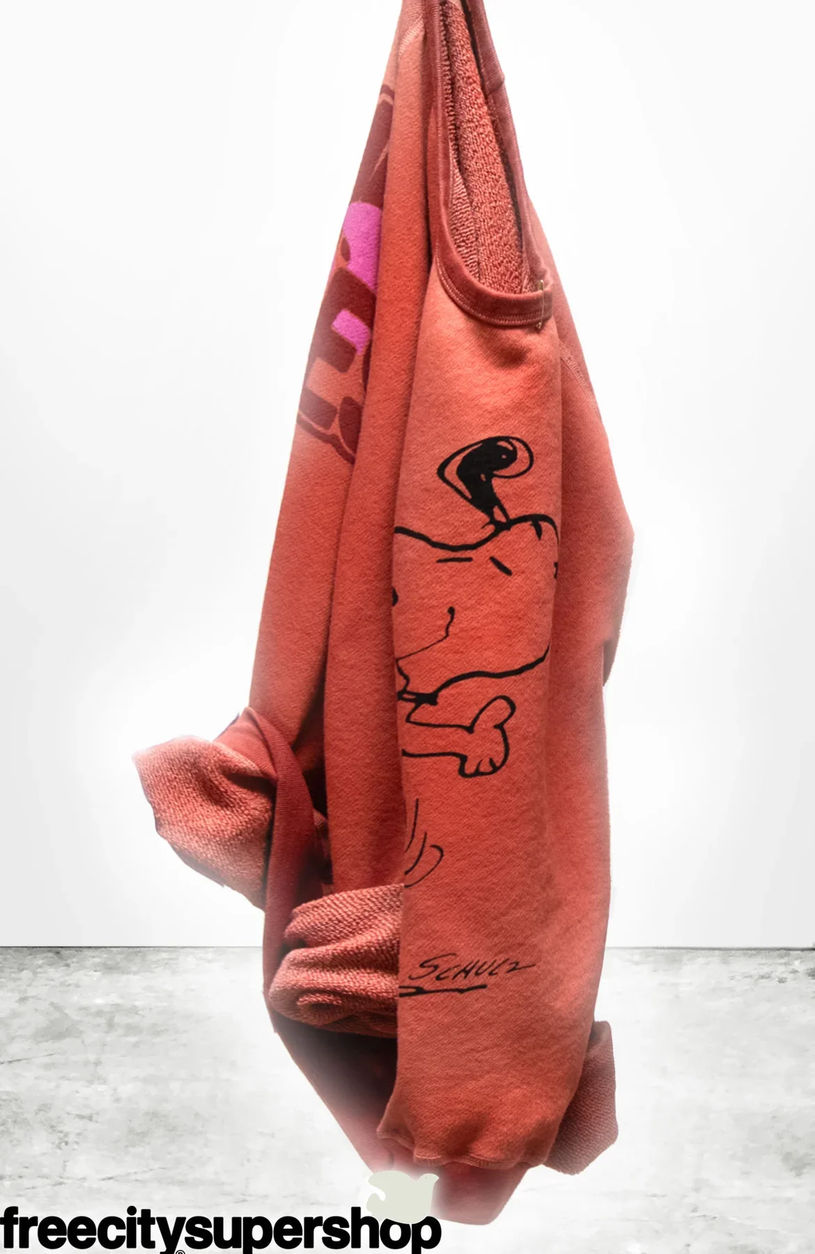 BASICGOODNESS SCHULZ SUPERVINTAGE YUMM RAGLAN- SNOOPY BURNPOWDER