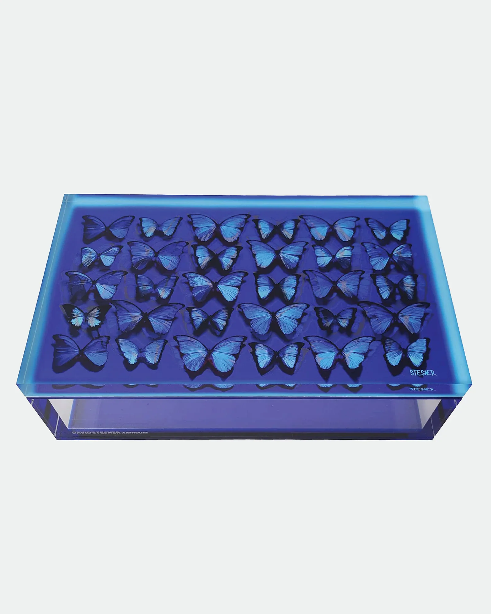 BLUE BUTTERFLY BOX