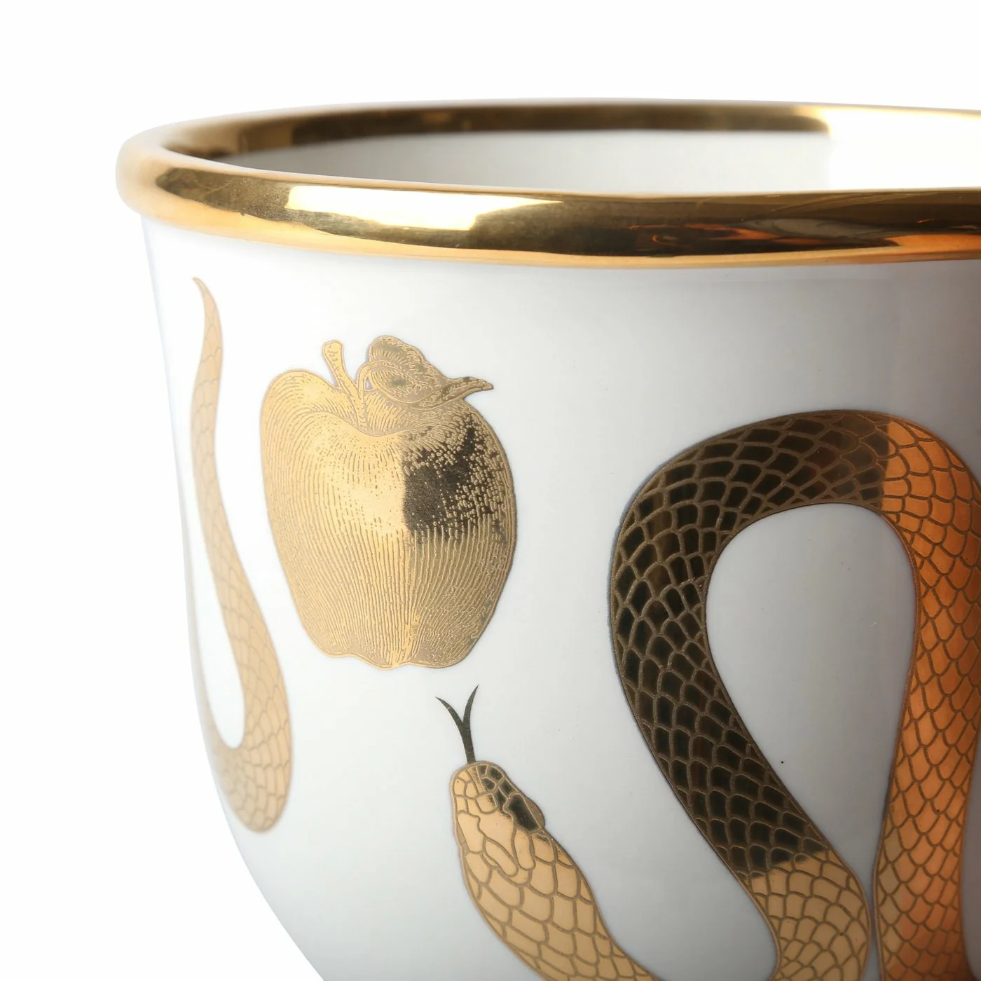 BOTANIST SNAKE & APPLE - Image 3