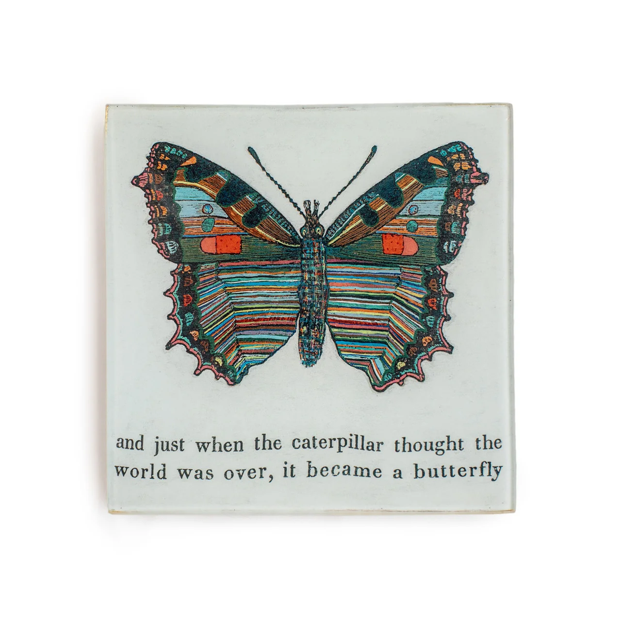 BUTTERFLY SQUARE PLATE