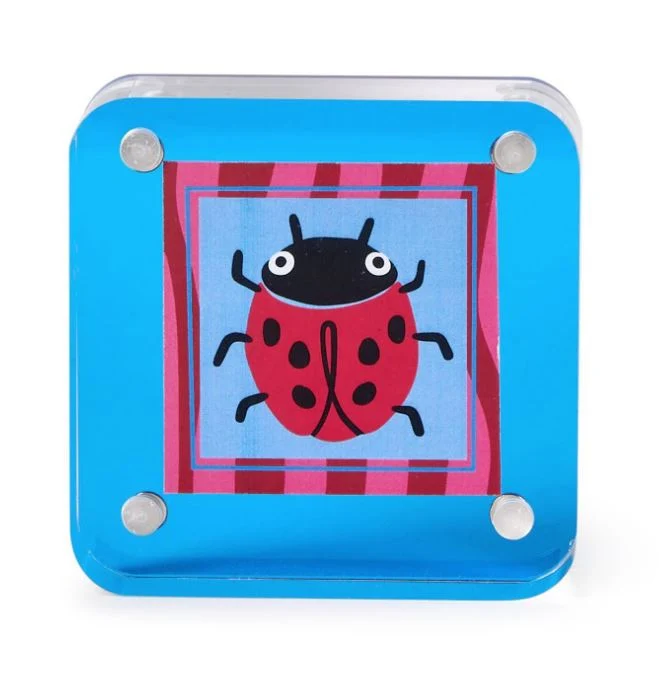 MINI LADYBUG FRAME